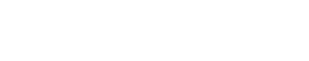 Flagship Detailing